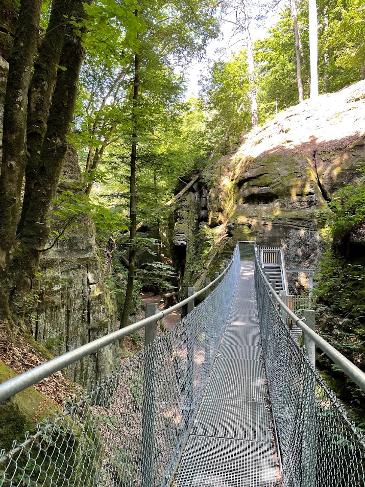 Wandern im Müllerthal mit Hund Bruno