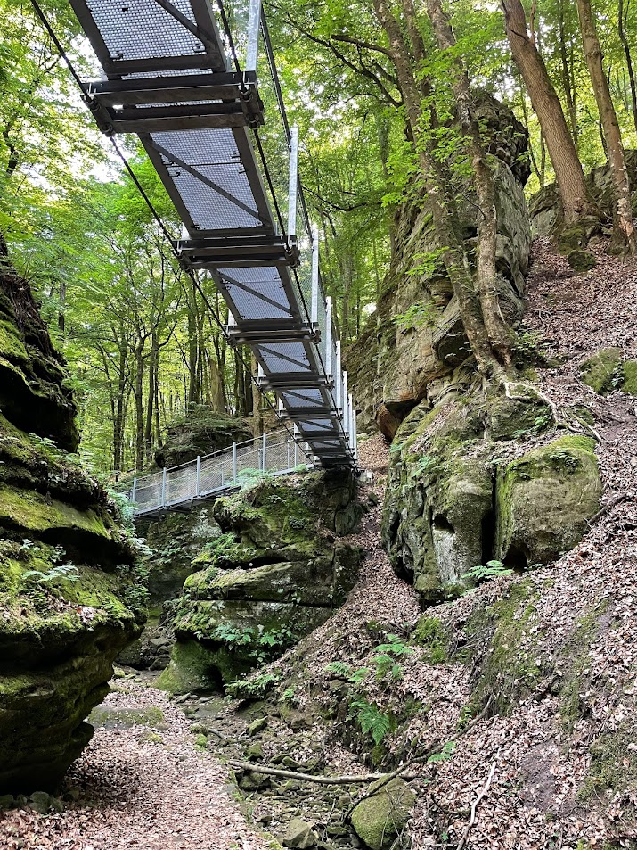 Wandern im Müllerthal mit Hund Bruno