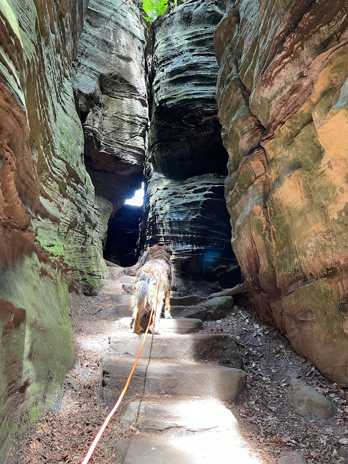 Wandern im Müllerthal mit Hund Bruno