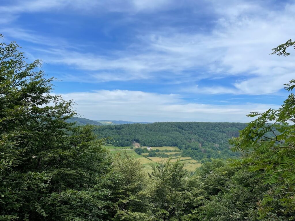 Wandern im Müllerthal mit Hund Bruno
