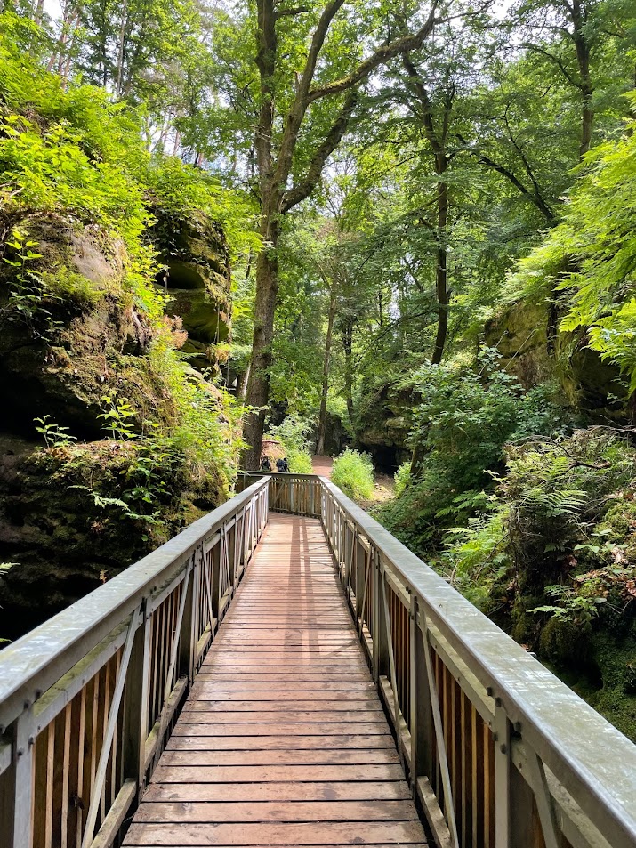 Wandern im Müllerthal mit Hund Bruno